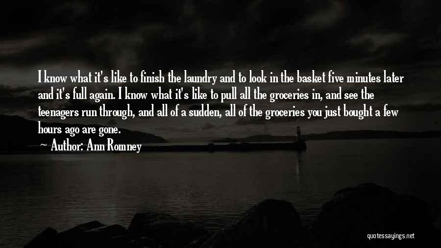 Run To The Finish Quotes By Ann Romney