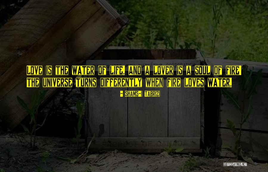 Runcimans Quotes By Shams-i Tabrizi Runcimans Quotes By Shams-i Tabrizi