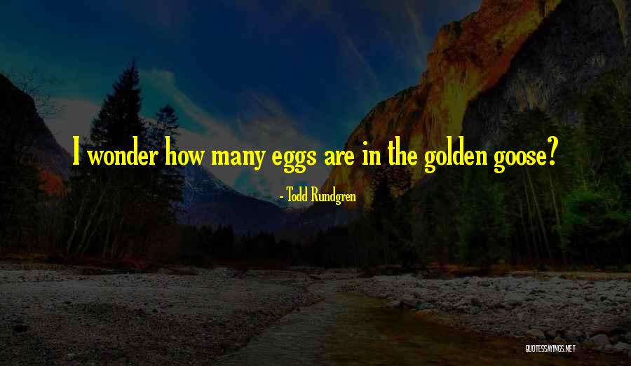 Rundgren Todd Quotes By Todd Rundgren Rundgren Todd Quotes By Todd Rundgren