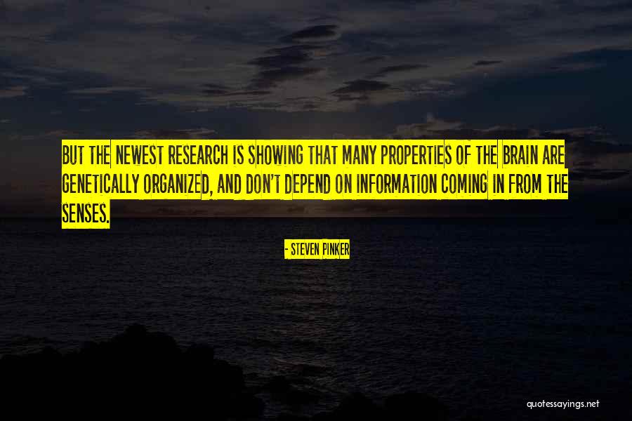 Rundles Salve Quotes By Steven Pinker Rundles Salve Quotes By Steven Pinker