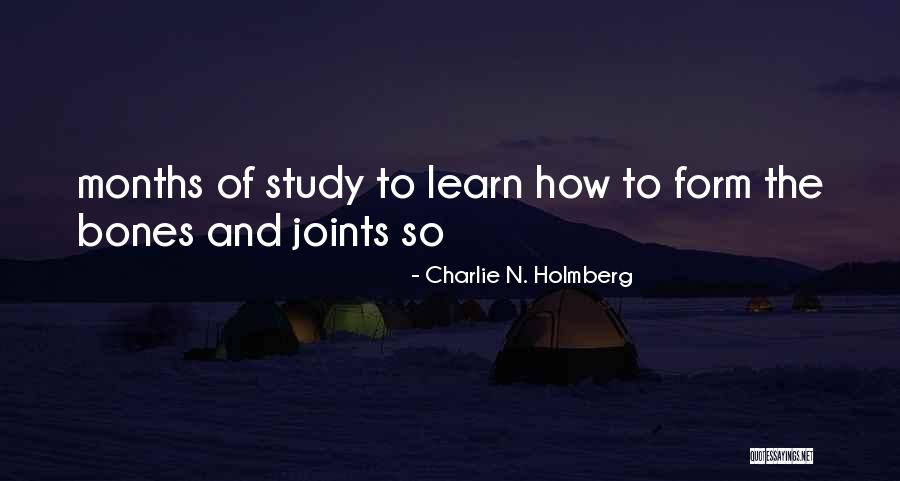 Rundstykker Grove Quotes By Charlie N. Holmberg Rundstykker Grove Quotes By Charlie N. Holmberg