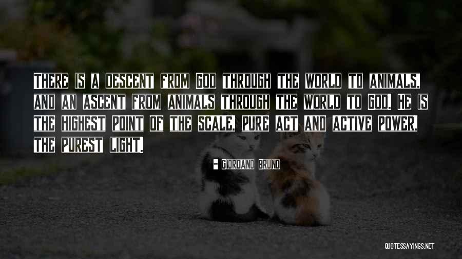 Rundstykker Grove Quotes By Giordano Bruno Rundstykker Grove Quotes By Giordano Bruno