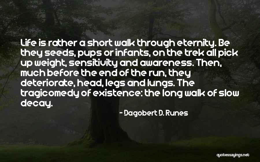 Runes Quotes By Dagobert D. Runes Runes Quotes By Dagobert D. Runes
