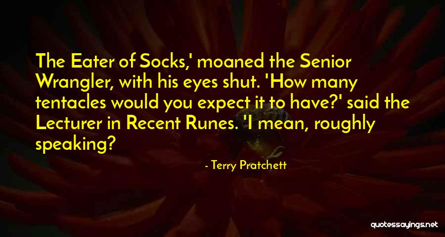 Runes Quotes By Terry Pratchett