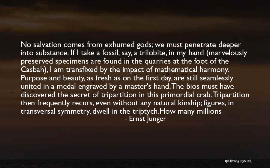 Runescape Quotes By Ernst Junger Runescape Quotes By Ernst Junger