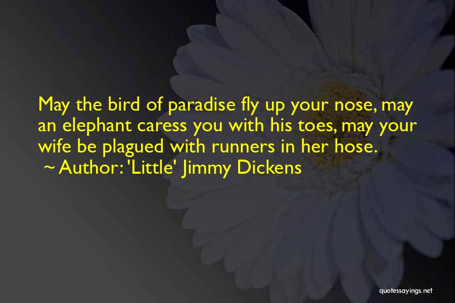 Runners Quotes By 'Little' Jimmy Dickens