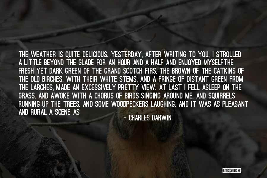 Running After Me Quotes By Charles Darwin