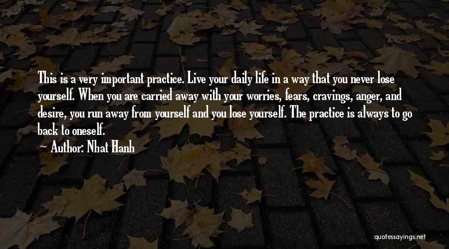 Running Away And Life Quotes By Nhat Hanh