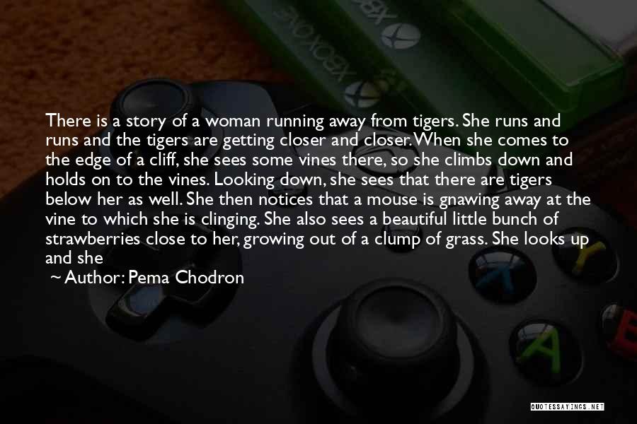 Running Away And Life Quotes By Pema Chodron