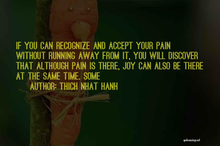 Running Away From Your Past Quotes By Thich Nhat Hanh