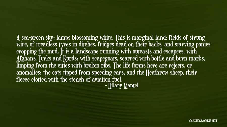 Running Backs Quotes By Hilary Mantel Running Backs Quotes By Hilary Mantel