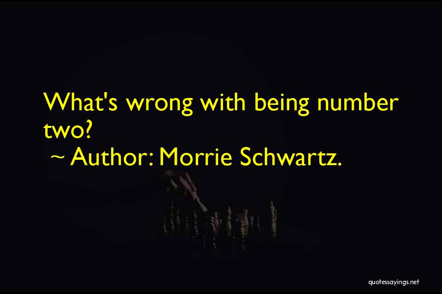 Running Effective Meetings Quotes By Morrie Schwartz.