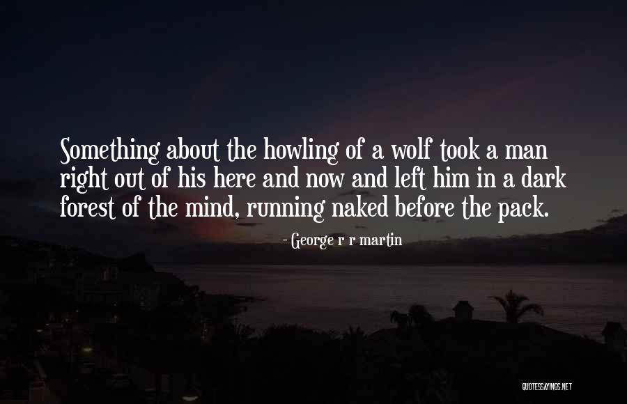 Running From The Right One Quotes By George R R Martin Running From The Right One Quotes By George R R Martin