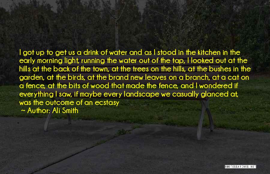 Running Hills Quotes By Ali Smith