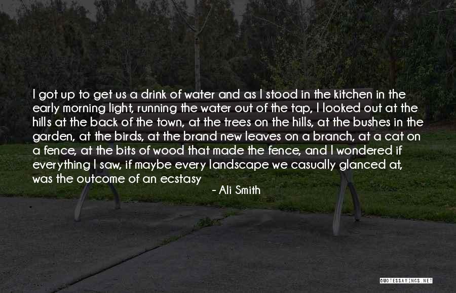 Running In The Morning Quotes By Ali Smith