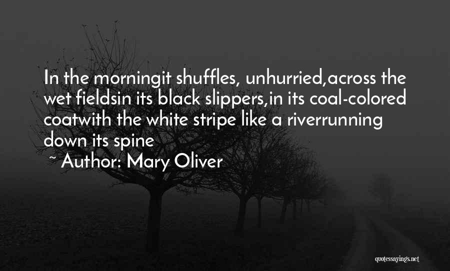 Running In The Morning Quotes By Mary Oliver