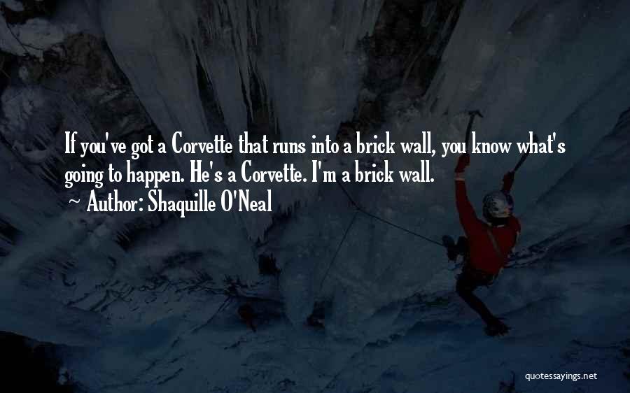 Running Into A Brick Wall Quotes By Shaquille O'Neal