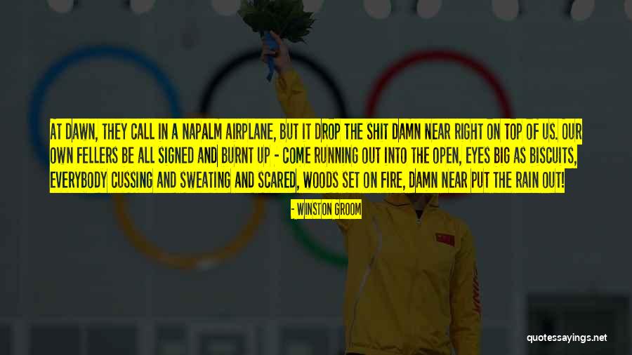 Running Into The Fire Quotes By Winston Groom Running Into The Fire Quotes By Winston Groom