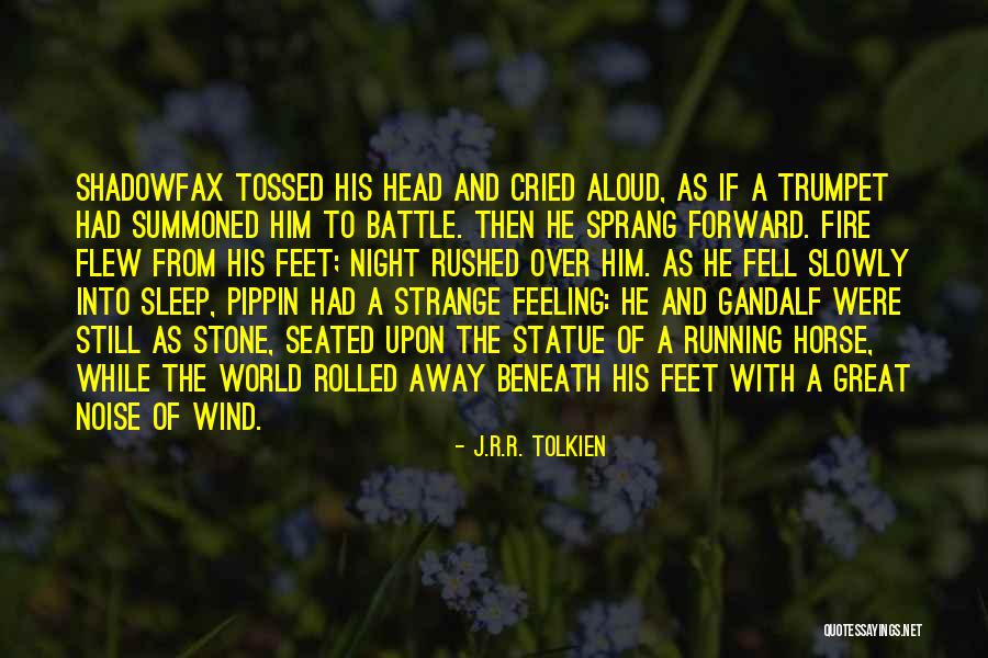 Running Into The Wind Quotes By J.R.R. Tolkien