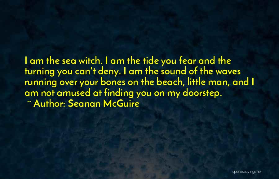 Running On The Beach Quotes By Seanan McGuire