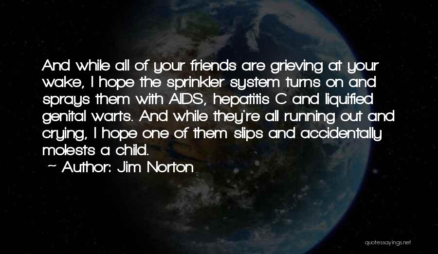 Running Out Of Hope Quotes By Jim Norton