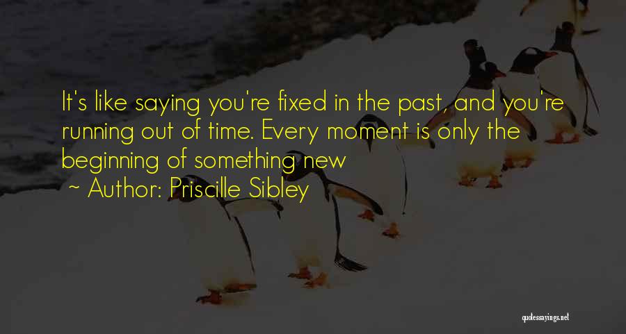 Running Out Of Life Quotes By Priscille Sibley