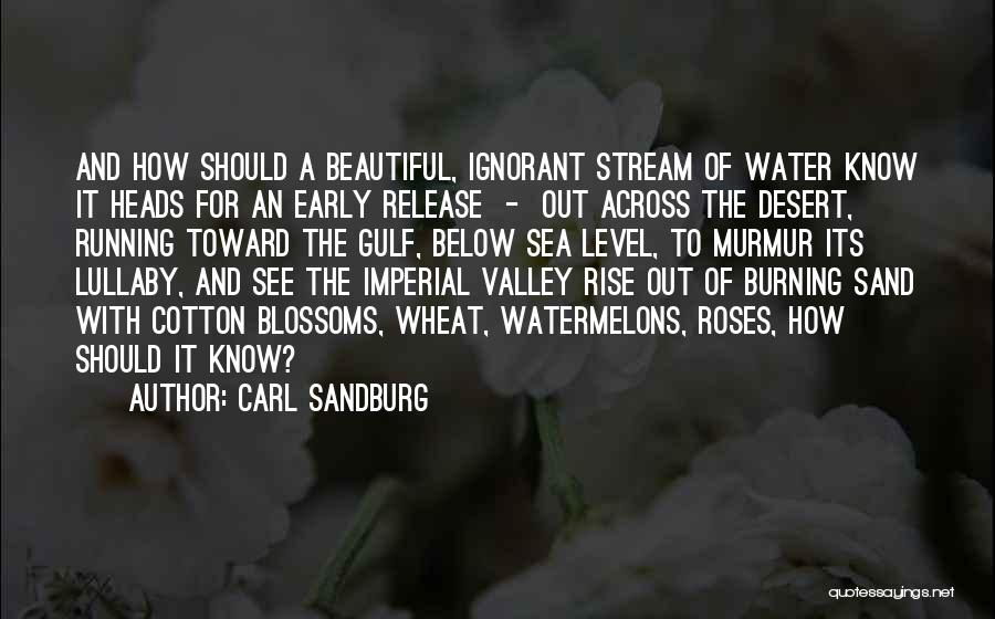 Running Out Of Water Quotes By Carl Sandburg