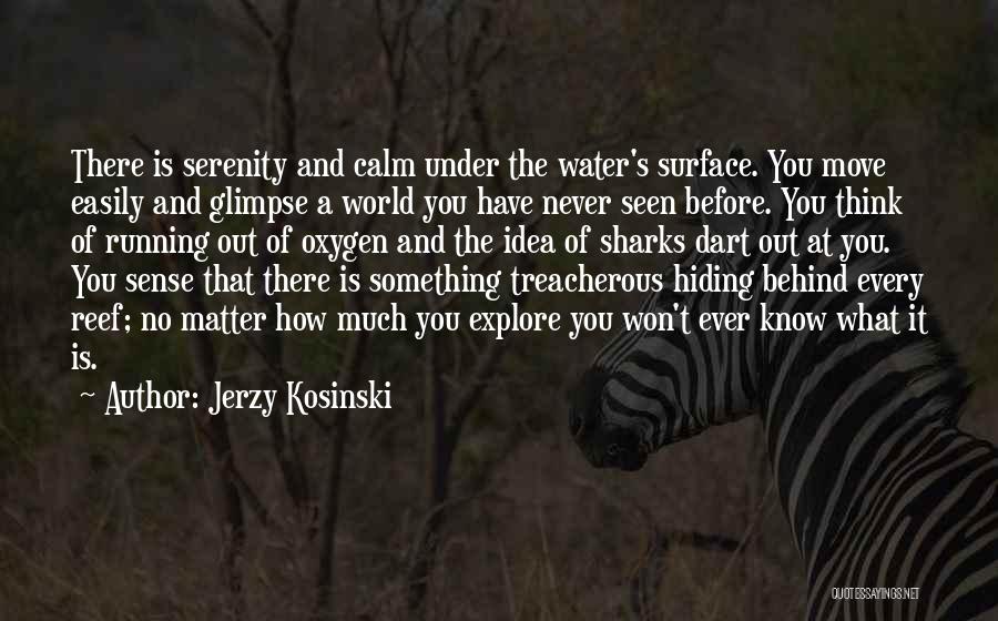 Running Out Of Water Quotes By Jerzy Kosinski