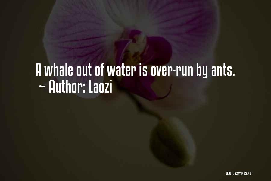 Running Out Of Water Quotes By Laozi