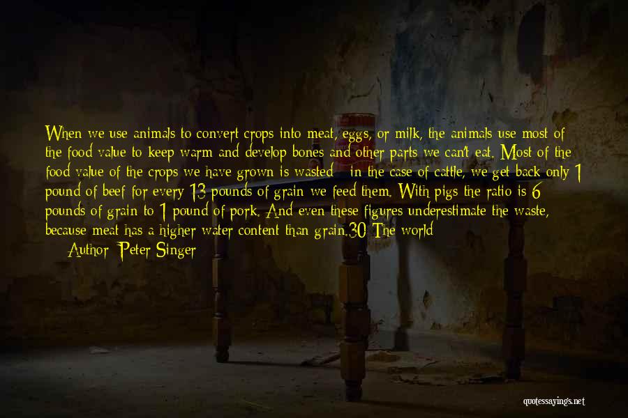 Running Out Of Water Quotes By Peter Singer