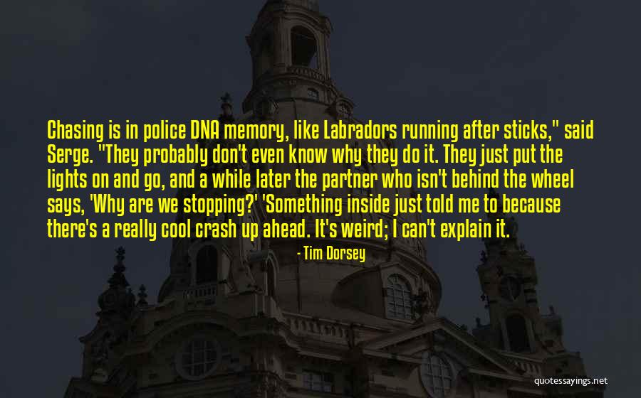 Running Partner Quotes By Tim Dorsey Running Partner Quotes By Tim Dorsey