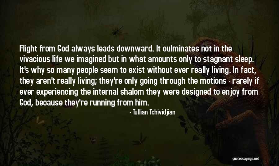 Running Through Life Quotes By Tullian Tchividjian