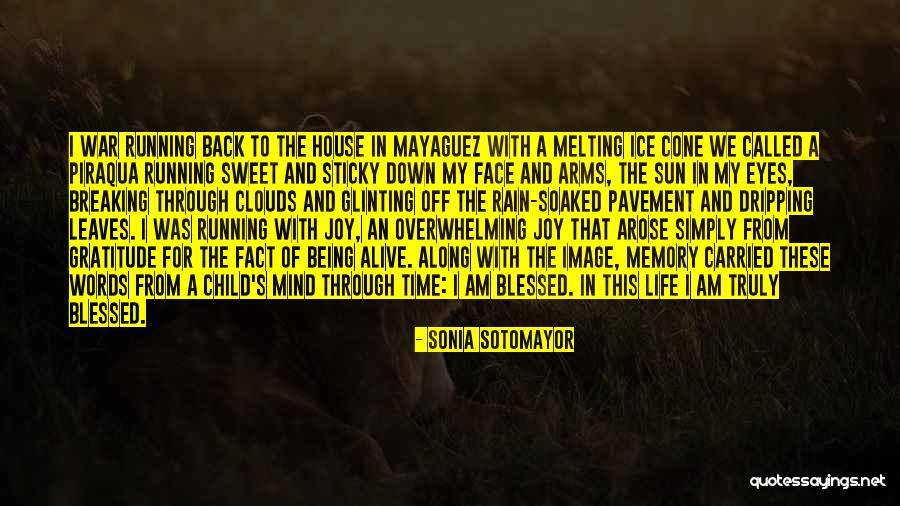 Running Through The Rain Quotes By Sonia Sotomayor