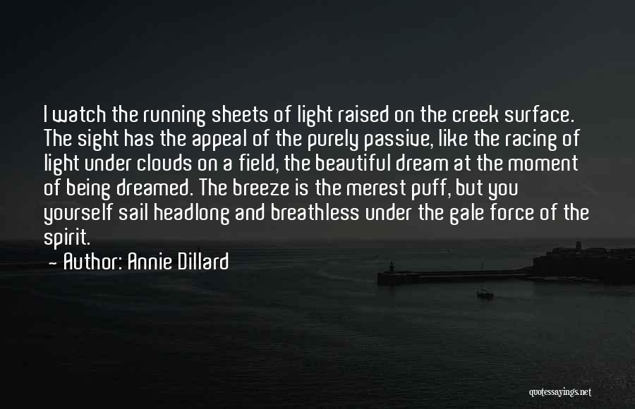 Running Water Quotes By Annie Dillard