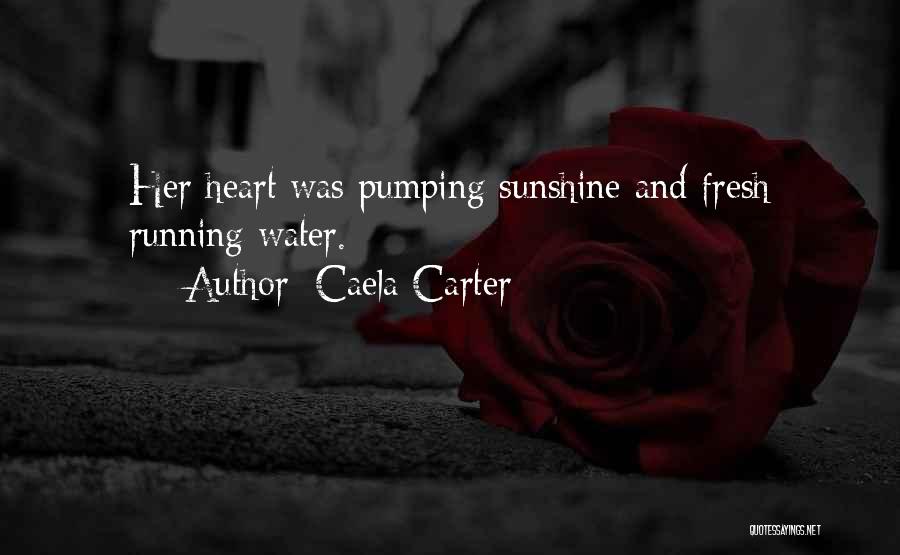 Running Water Quotes By Caela Carter