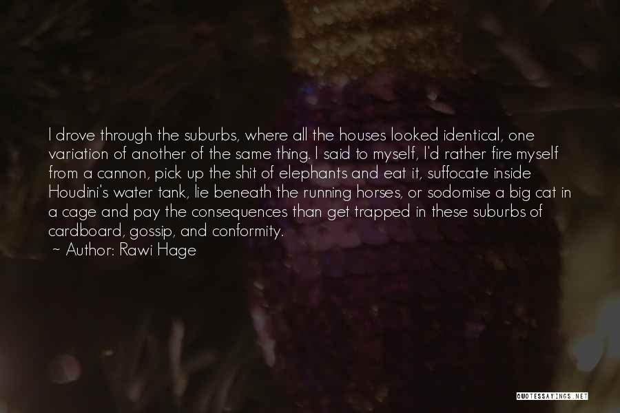 Running Water Quotes By Rawi Hage