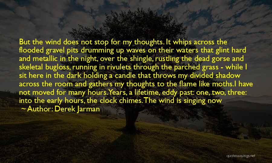 Running Wind Quotes By Derek Jarman