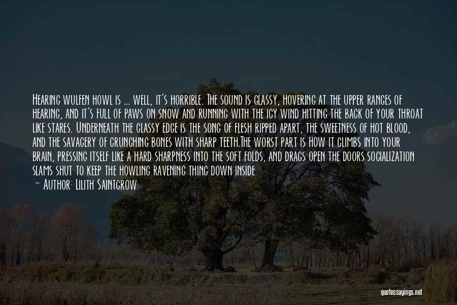 Running Wind Quotes By Lilith Saintcrow