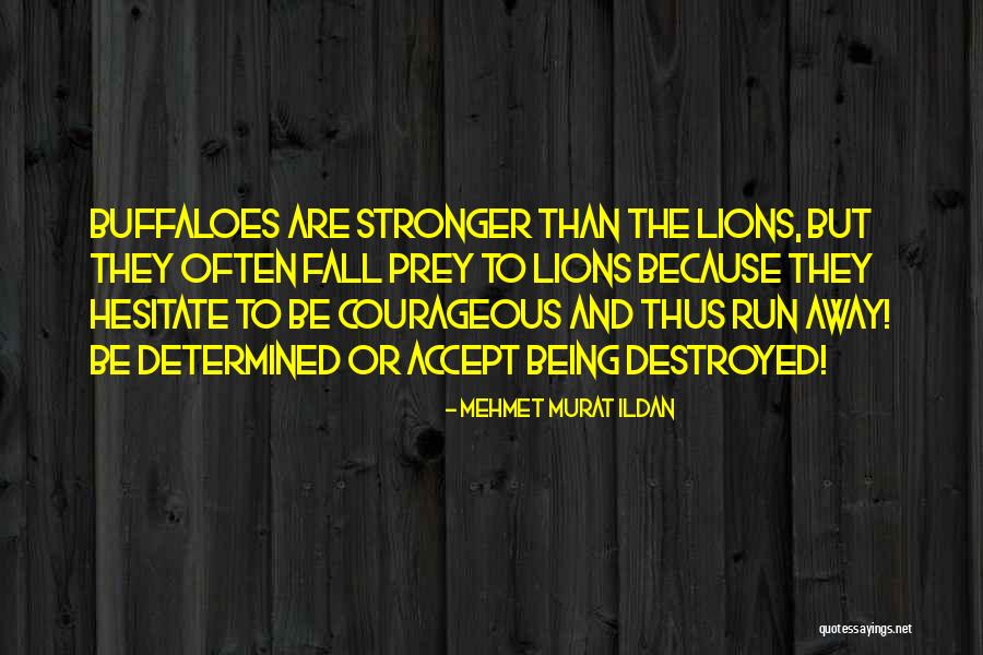 Running With The Buffaloes Quotes By Mehmet Murat Ildan Running With The Buffaloes Quotes By Mehmet Murat Ildan