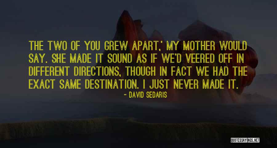 Runupd Quotes By David Sedaris Runupd Quotes By David Sedaris