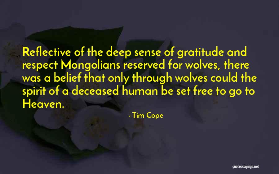 Ruokangas Guitar Quotes By Tim Cope Ruokangas Guitar Quotes By Tim Cope
