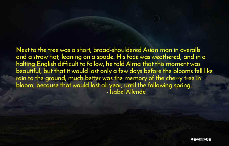 Ruolan Zhang Quotes By Isabel Allende Ruolan Zhang Quotes By Isabel Allende