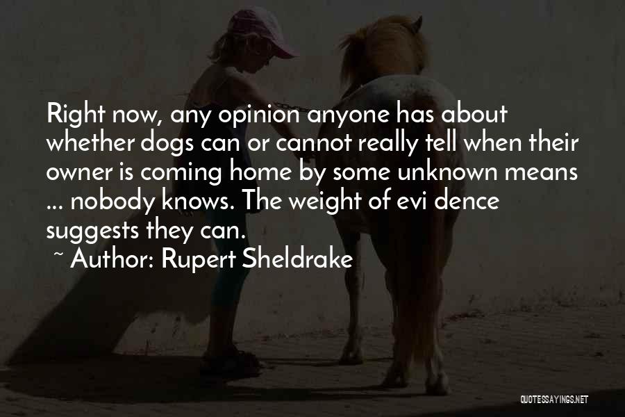 Rupert Sheldrake Quotes 2139651