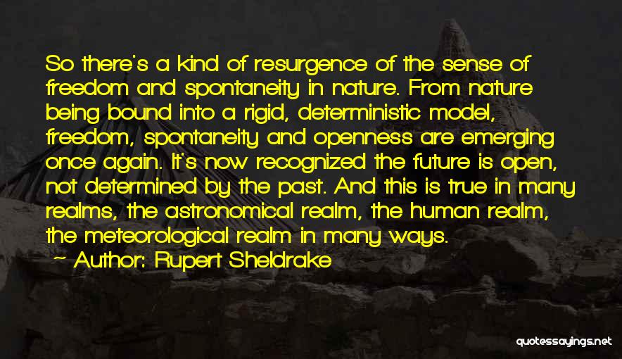 Rupert Sheldrake Quotes 352998