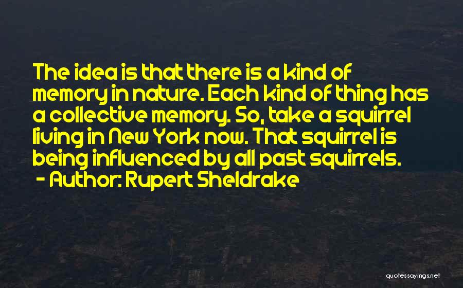 Rupert Sheldrake Quotes 693234