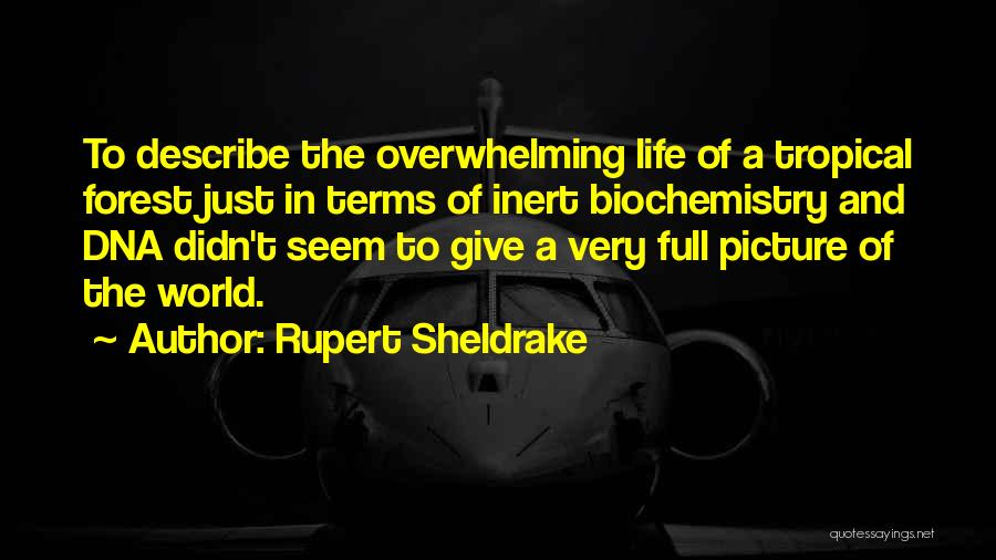 Rupert Sheldrake Quotes 781636