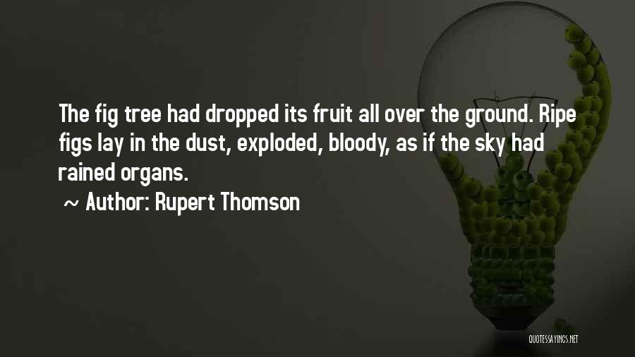 Rupert Thomson Quotes 216044