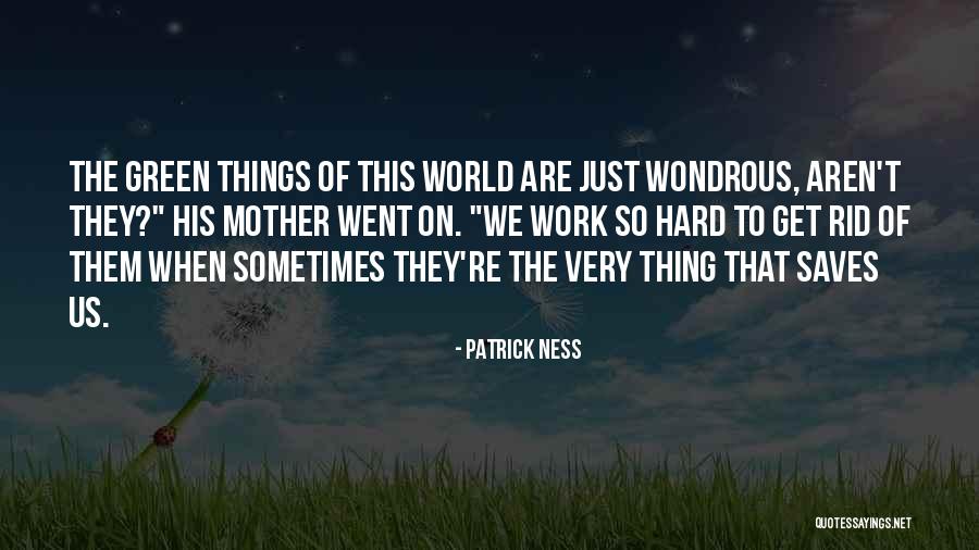Ruppert Landscape Quotes By Patrick Ness Ruppert Landscape Quotes By Patrick Ness