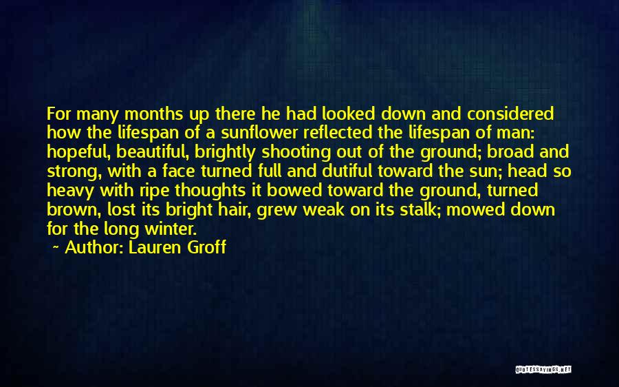 Rupture And Repair Quotes By Lauren Groff