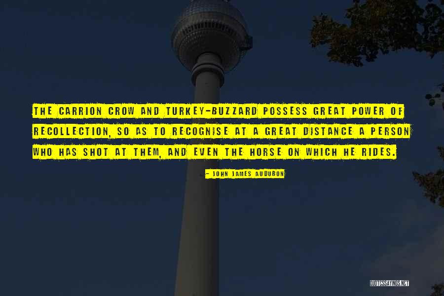 Ruptured Colon Quotes By John James Audubon Ruptured Colon Quotes By John James Audubon